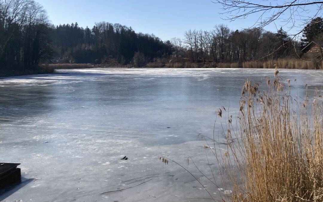 Wir sehen uns am 24.1. von 10-12 Uhr in Widdersberg am Weiher