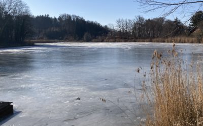 Wir sehen uns am 24.1. von 10-12 Uhr in Widdersberg am Weiher